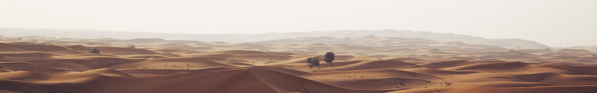 ıƼ޹˾